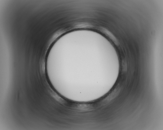 X0000115391322200911101444