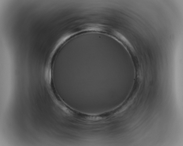 X0000115391323200911101444