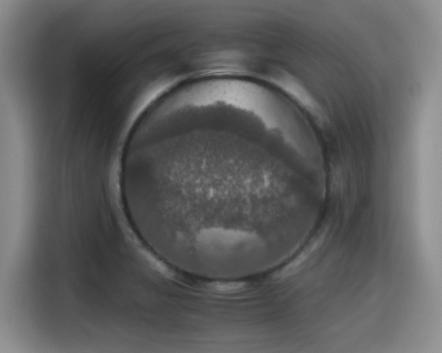 X0000115391325200911101444