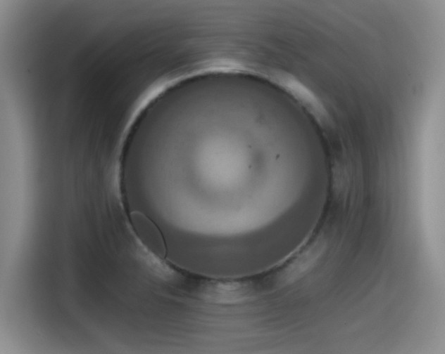X0000115391326200911101444