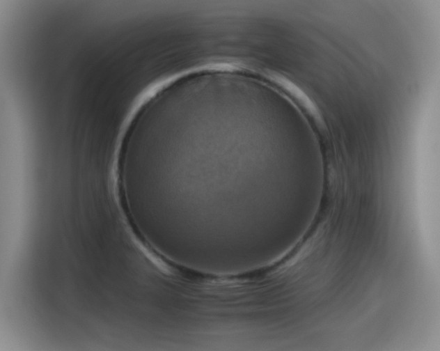 X0000115391327200911101444