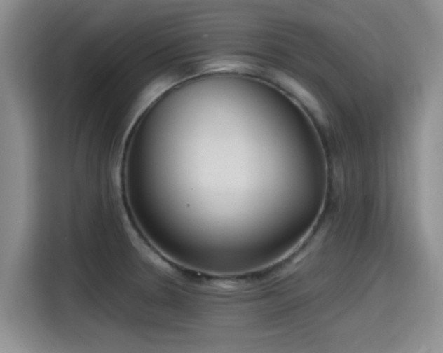 X0000115391330200911101444