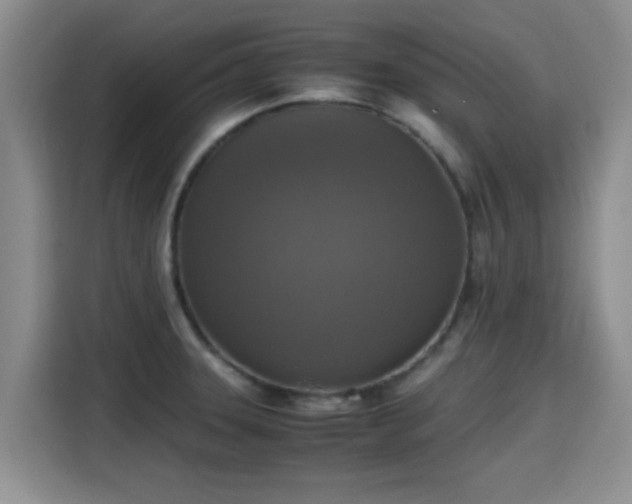 X0000115391331200911101444