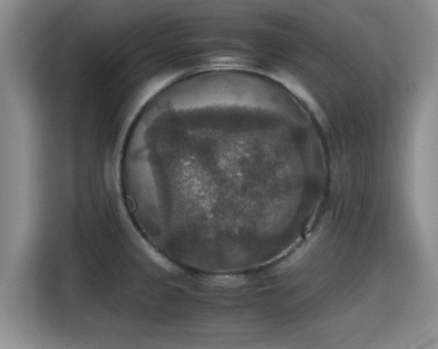 X0000115391333200911101444