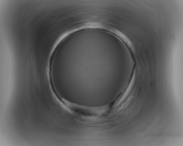 X0000115391334200911101444
