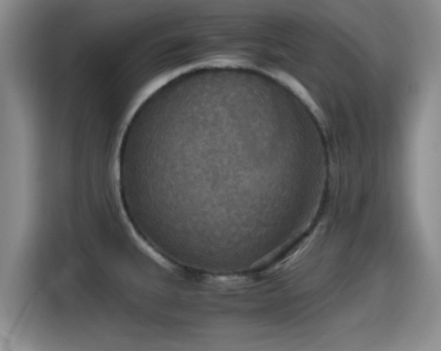 X0000115391335200911101444