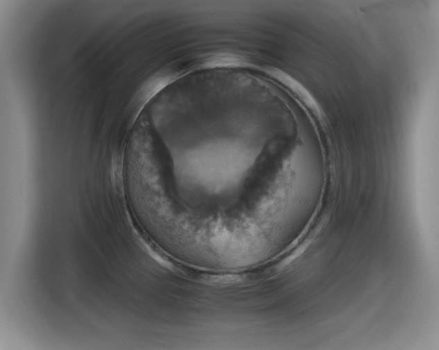 X0000115391337200911101444