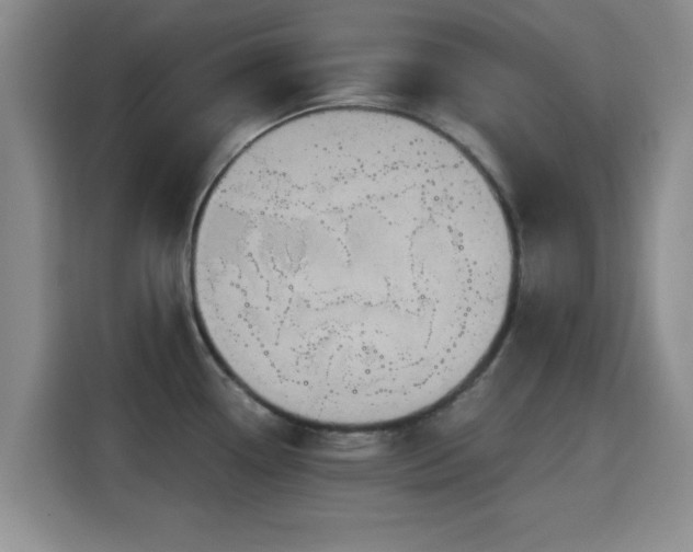 X0000115391338200911101444