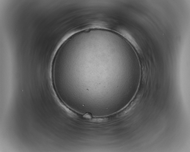 X0000115391339200911101444