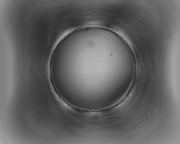 X0000115391341200911101445