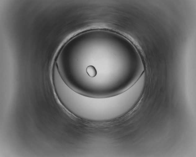 X0000115391342200911101445