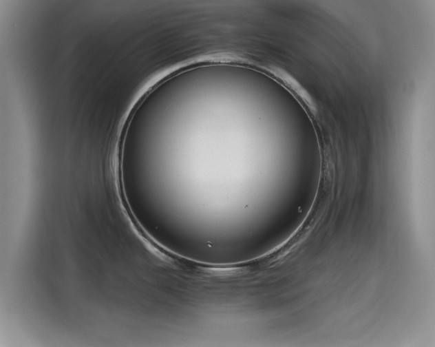 X0000115391343200911101445