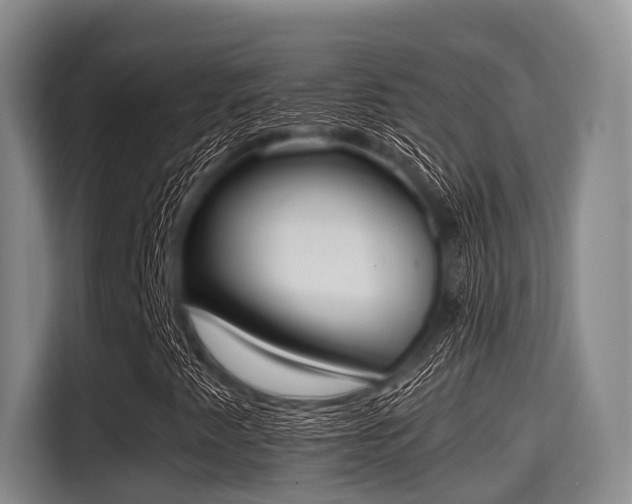 X0000115391345200911101444
