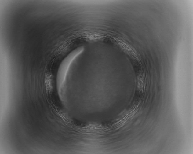 X0000115391346200911101444
