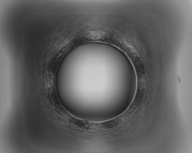 X0000115391349200911101444