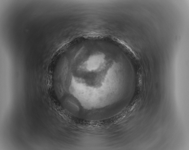 X0000115391350200911101444