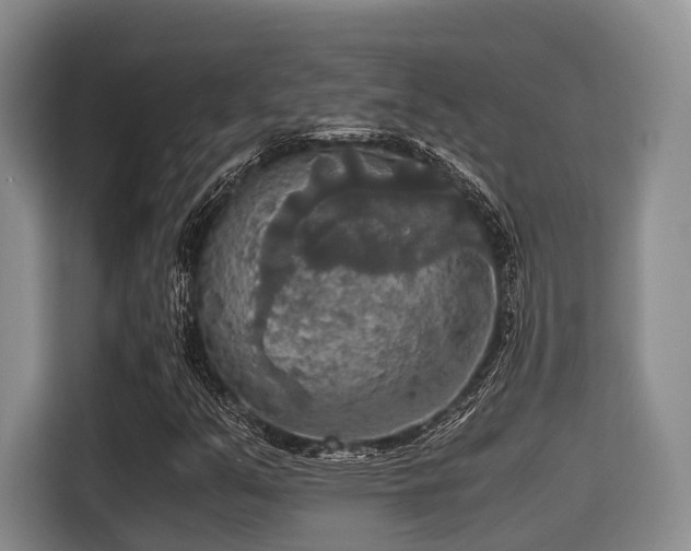 X0000115391351200911101444