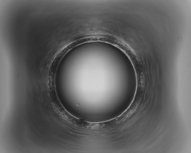 X0000115391352200911101444