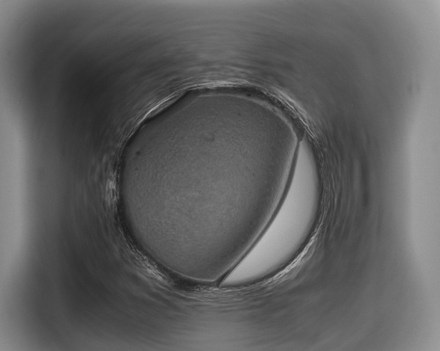 X0000115391353200911101444
