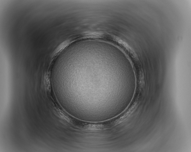 X0000115391354200911101444