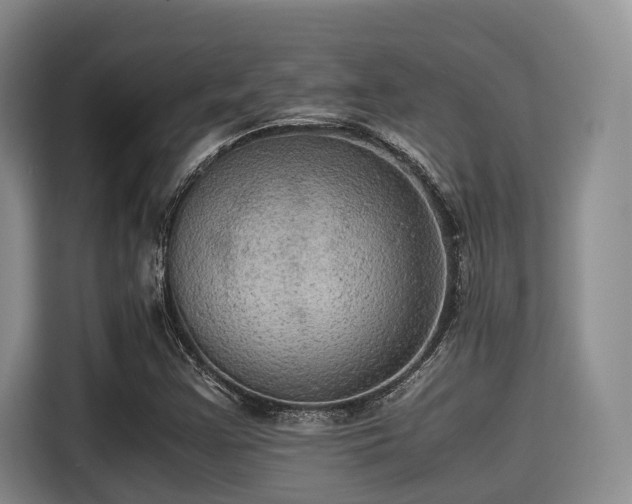 X0000115391355200911101444