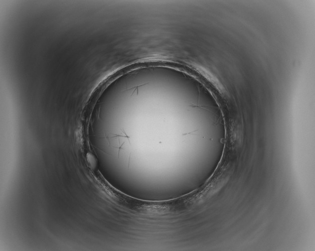 X0000115391356200911101444