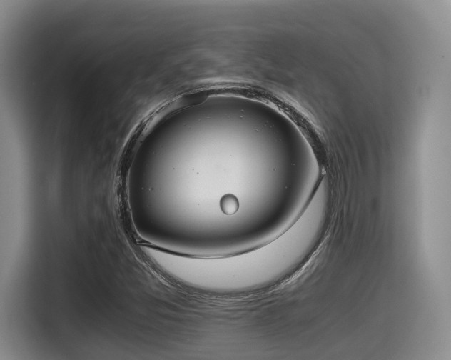 X0000115391357200911101444