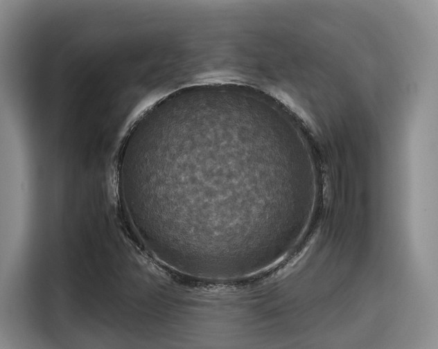 X0000115391358200911101444
