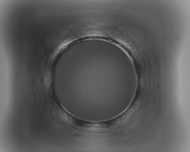 X0000115391359200911101444