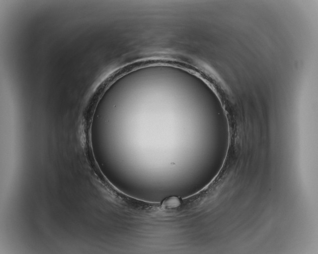 X0000115391360200911101444
