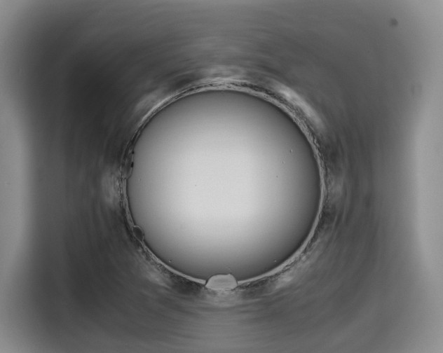 X0000115391361200911101444