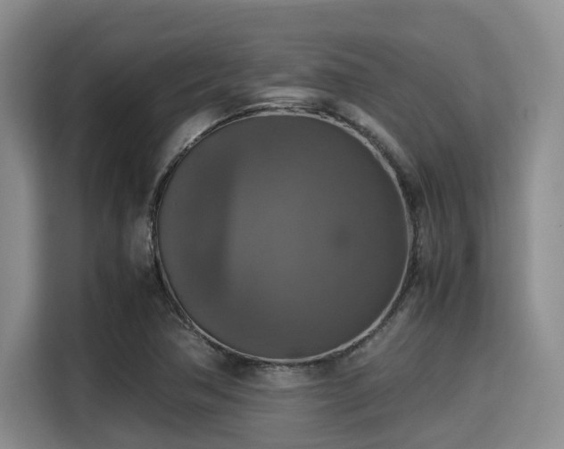 X0000115391362200911101444