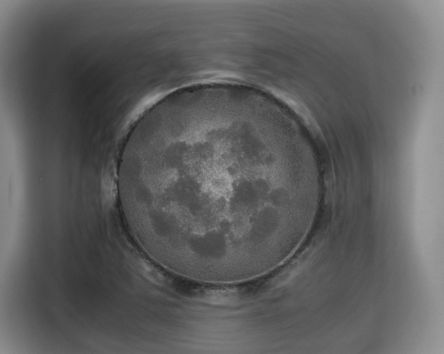X0000115391363200911101444
