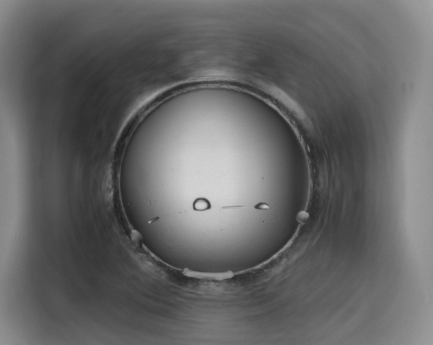 X0000115391364200911101444