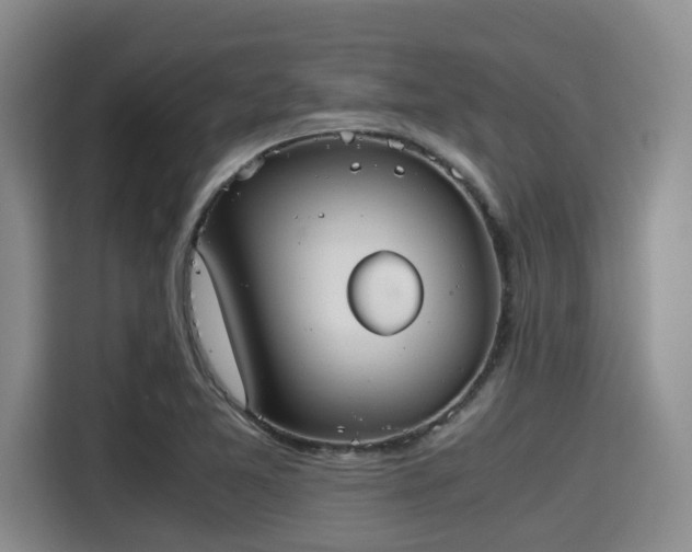 X0000115391365200911101444