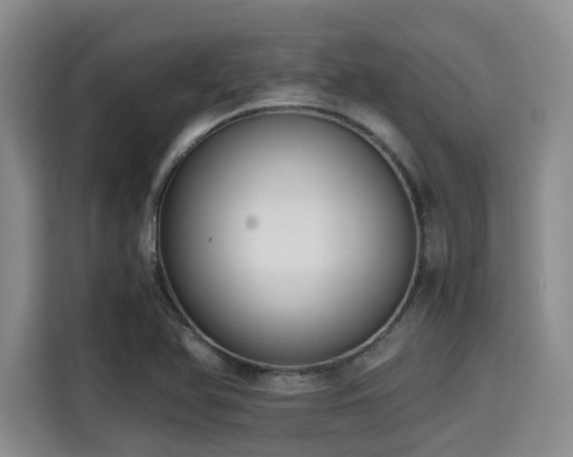 X0000115391366200911101444