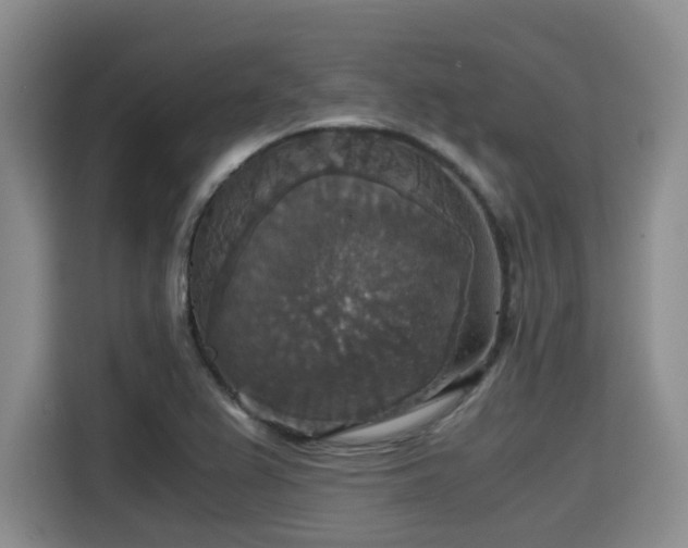 X0000115391367200911101444