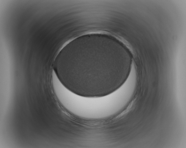 X0000115391369200911101444