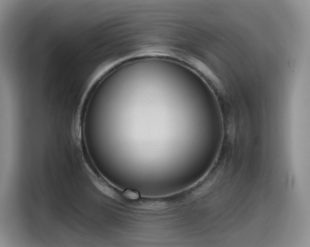 X0000115391372200911101444