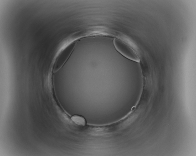 X0000115391373200911101444