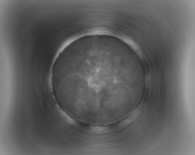 X0000115391374200911101444