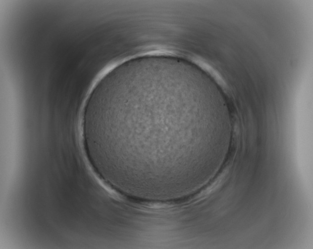 X0000115391375200911101444