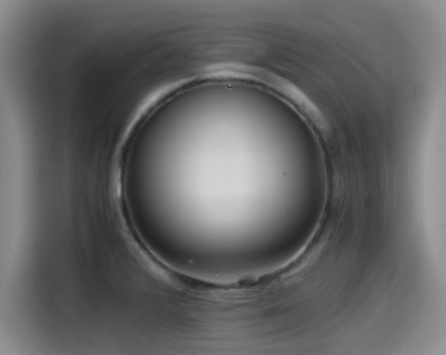 X0000115391376200911101444