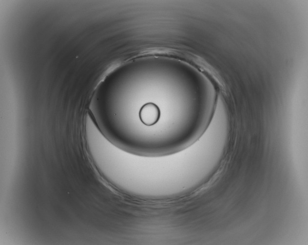 X0000115391377200911101444