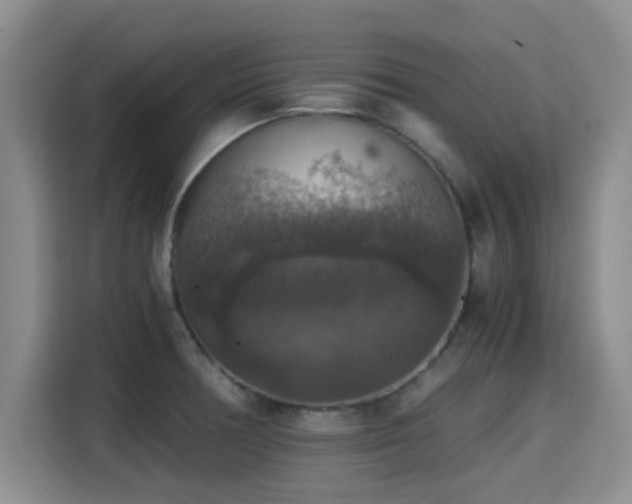 X0000115391378200911101444