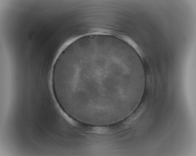 X0000115391379200911101443