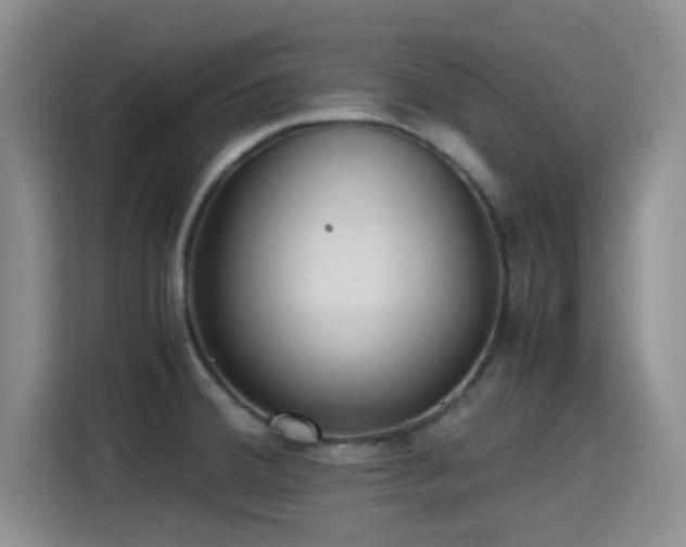 X0000115391380200911101443