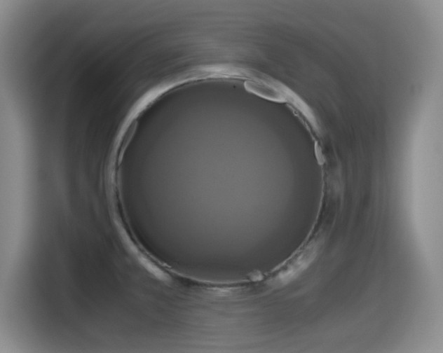 X0000115391381200911101443