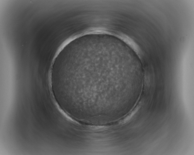 X0000115391382200911101443