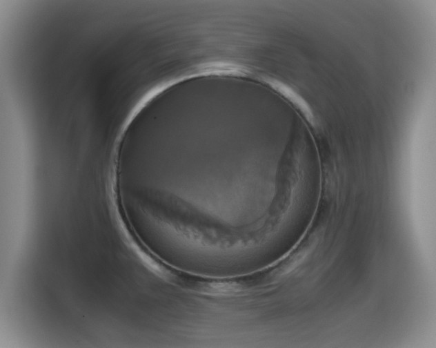 X0000115391383200911101443